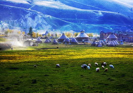 Bayanbulak Grassland,Xinjiang
