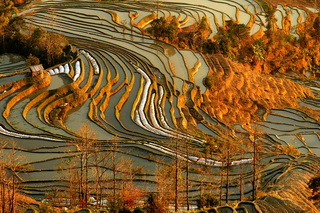 Yuanyang Rice Fields,Yunnan