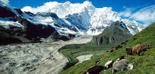 Glacier during trek at Mt.Everest in Tibet