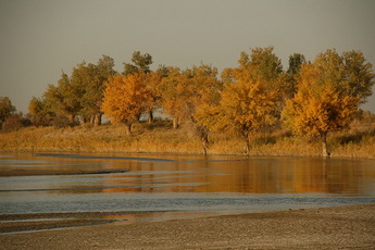Keriya River,Xinjiang