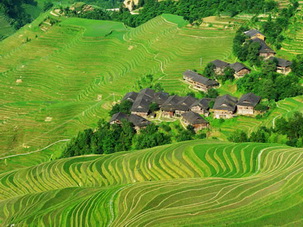 Longsheng Terraced Paddy Fields,Guilin