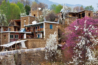 Flowers in Tibetan Village,Danba,Sichuan