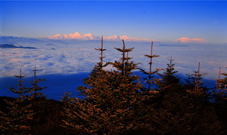 Mt.Emei,Sichuan