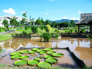 Tropical Botanical Garden,Xishuangbanna,Yunnan