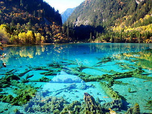 Jiuzhaigou National Park,Sichuan