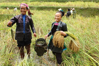 Miao People in Guizhou,China