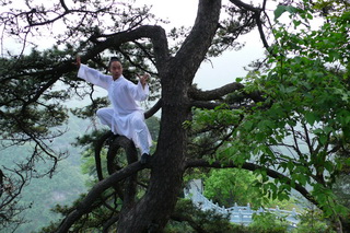 Chinese Kung Fu Explorer from Wudang to Shaolin