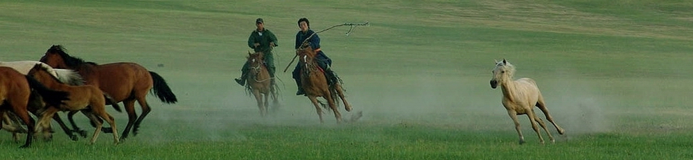 Horseback Riding in China